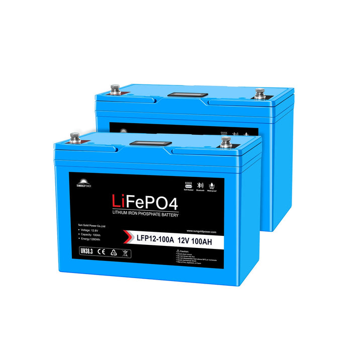 SunGoldPower 2 X 12V 100AH LiFePO4 Deep Cycle Lithium Battery / Bluetooth /Self-heating / IP65