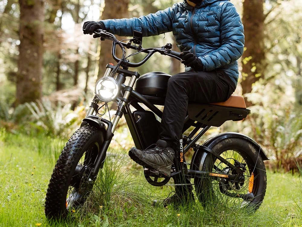 Fat Tire Bike