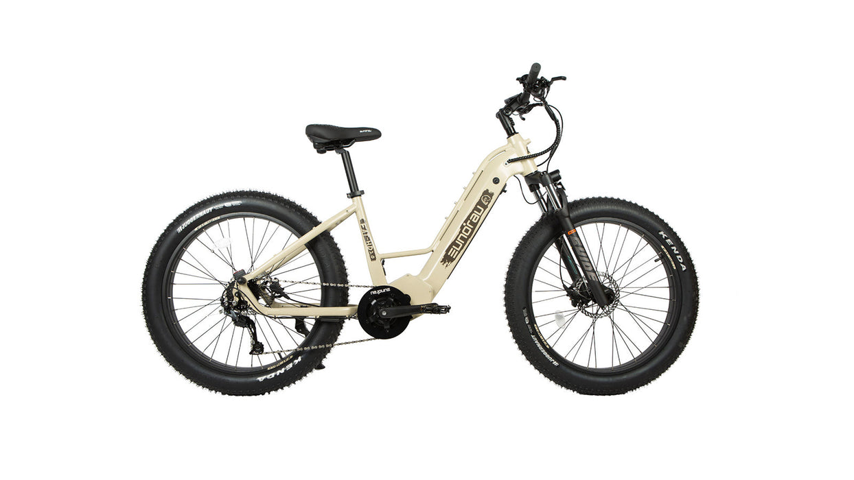 Eunorau FAT-HD 2.0 / Hunter X7 electric bike bafang 1000w mid drive 160nm 48v 15ah