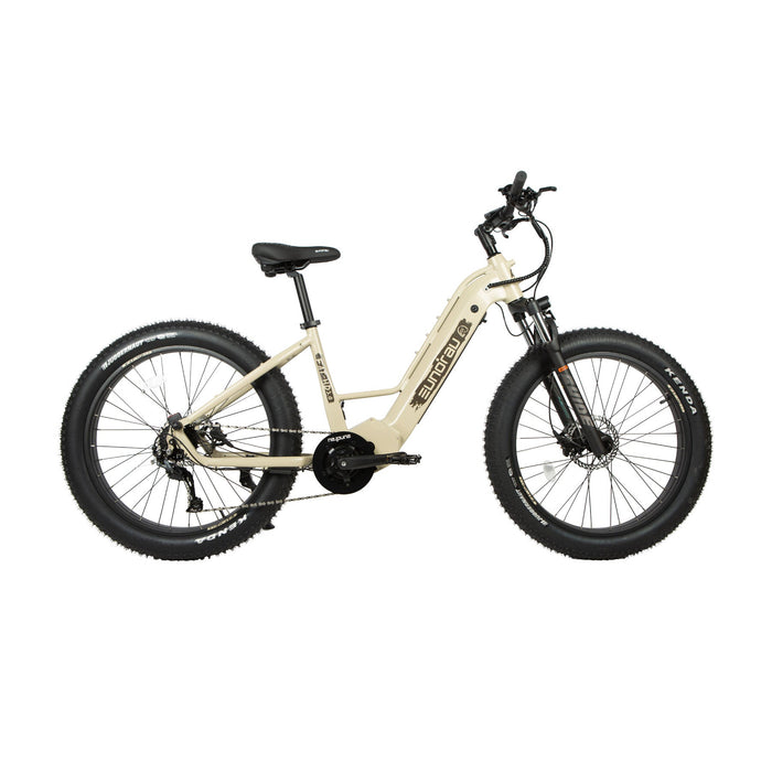 Eunorau FAT-HD 2.0 / Hunter X7 electric bike bafang 1000w mid drive 160nm 48v 15ah