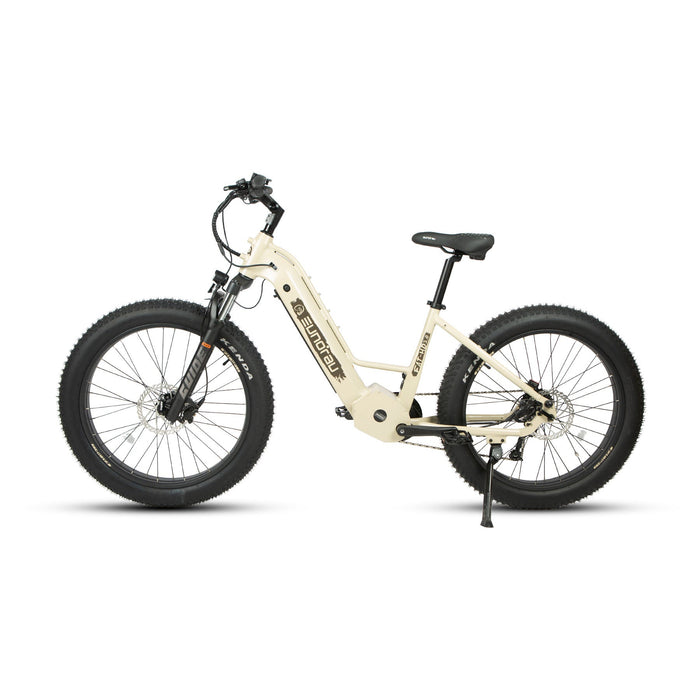 Eunorau FAT-HD 2.0 / Hunter X7 electric bike bafang 1000w mid drive 160nm 48v 15ah