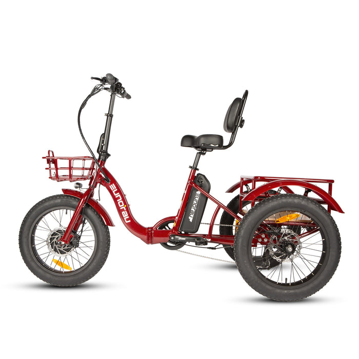 Eunorau NEW-TRIKE 2.0 Folding Electric Trike 48V 20Ah 500W 20 MPH