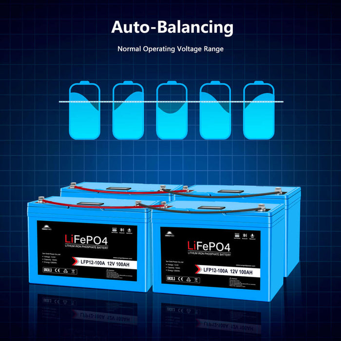 SunGoldPower 2 X 12V 100AH LiFePO4 Deep Cycle Lithium Battery / Bluetooth /Self-heating / IP65