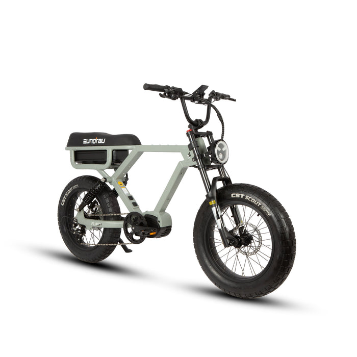 Eunorau Flash 2.0 Electric Bike 1000W Mid Drive 52V 16Ah 20 MPH