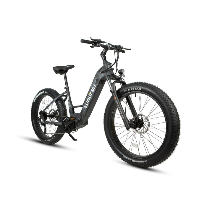 Eunorau FAT-HD 2.0 / Hunter X7 electric bike bafang 1000w mid drive 160nm 48v 15ah