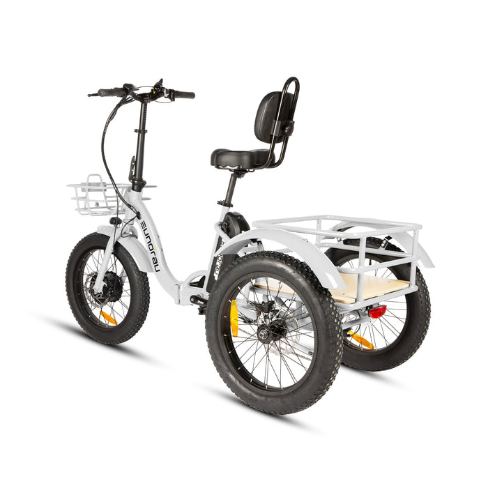 Eunorau NEW-TRIKE 2.0 Folding Electric Trike 48V 20Ah 500W 20 MPH