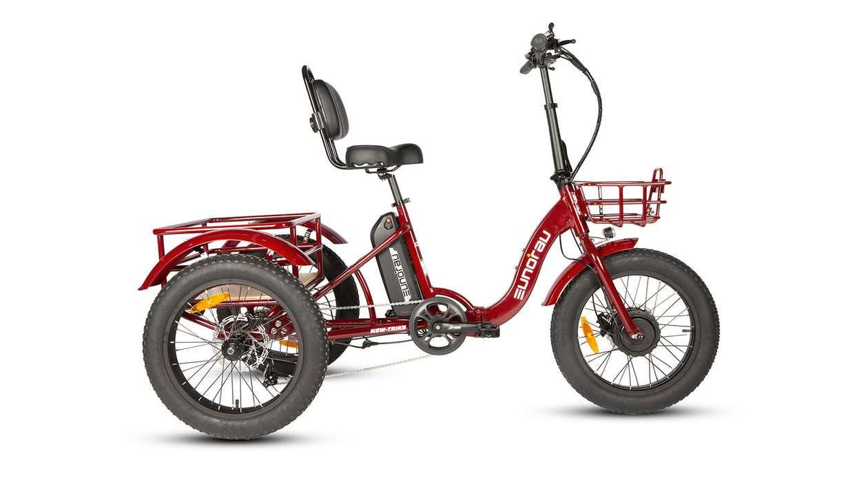 Eunorau NEW-TRIKE 2.0 Folding Electric Trike 48V 20Ah 500W 20 MPH