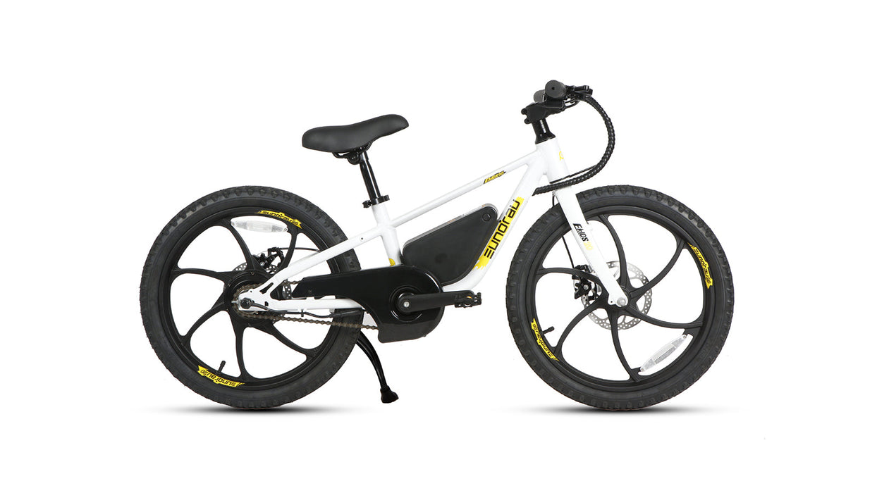 Eunorau Ekids20 1.0 kids electric bike 250w 24v 10ah up to 15.5 mph