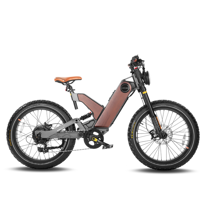 Eahora Electric Bike P5 II 1500W Motor 20Ah Battery