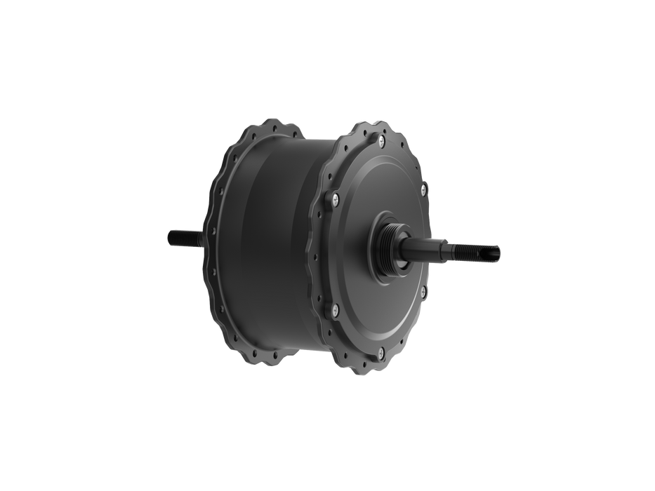 Motor for Ranger Step-Thru 1.0