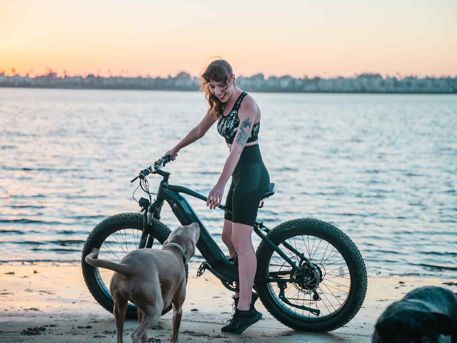 Velowave Ranger Fat Tire Electric Bike