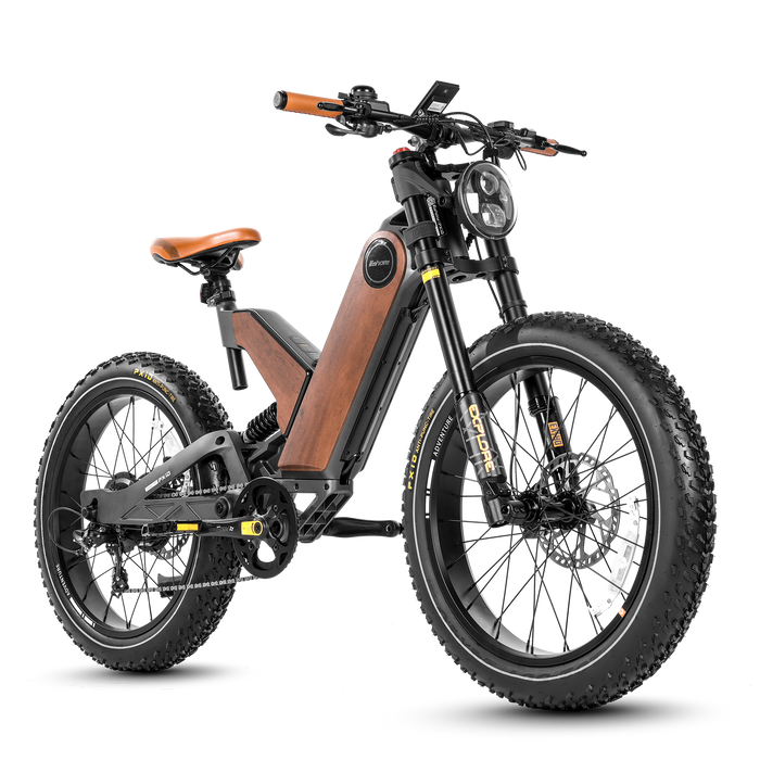 Eahora Electric Bike P5 II 1500W Motor 20Ah Battery