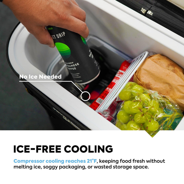 ICECO 13.5QT GOPACK12 Single Zone 12V Ice-Free Freezer  TOYO Limited Edition