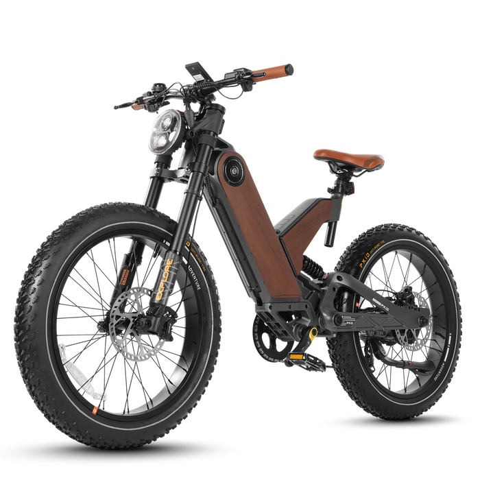 Eahora Electric Bike P5 II 1500W Motor 20Ah Battery