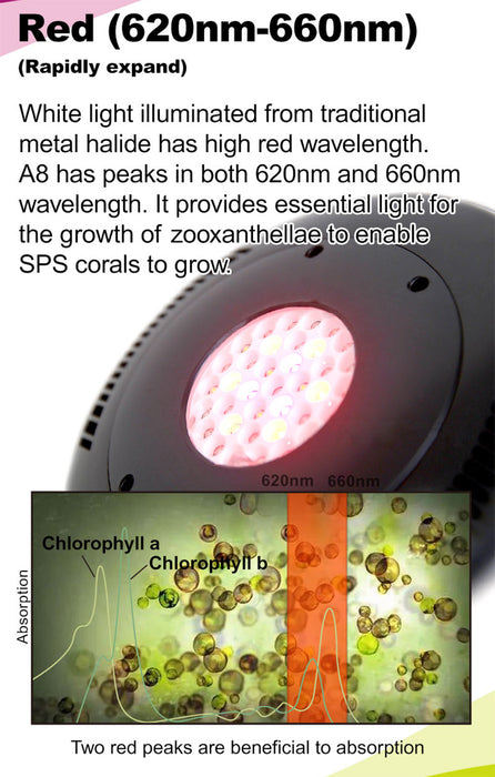 Aqua Dream Coral Reef LED Aquarium Light 90W AQUADREAM A8 Programmable