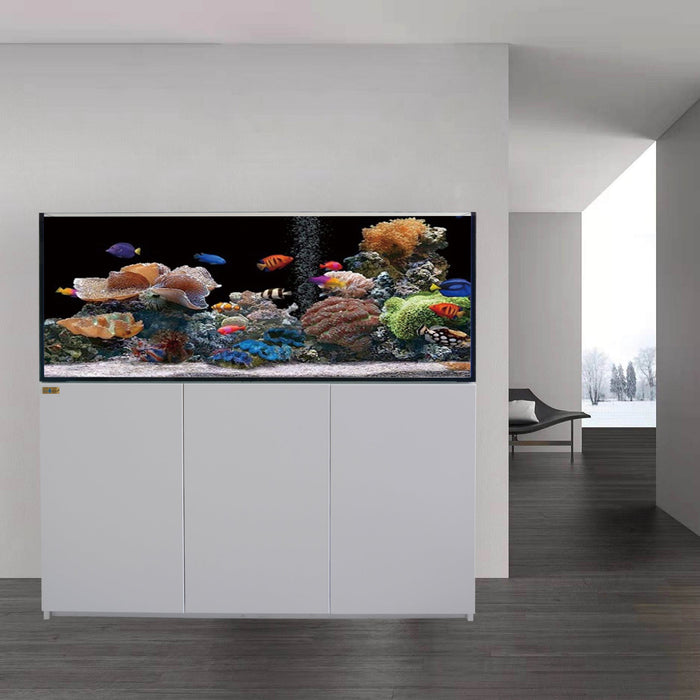 Aqua Dream 185 Gallon Coral Reef Aquarium Ultra Clear Glass Tank & Built in Sump All White - UPDATE