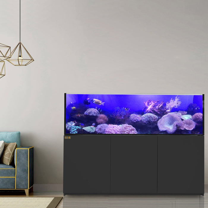 Aqua Dream 250 Gallon Tank Coral Reef Aquarium Ultra Clear Glass & Built in Sump - UPDATE