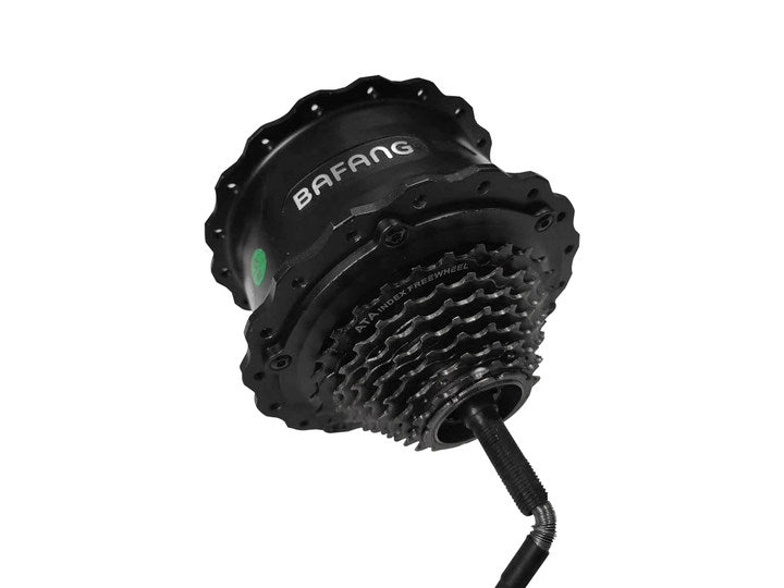 Motor for Ranger/Rover/Grace