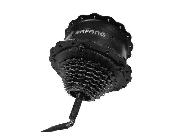 Motor for Ranger/Rover/Grace