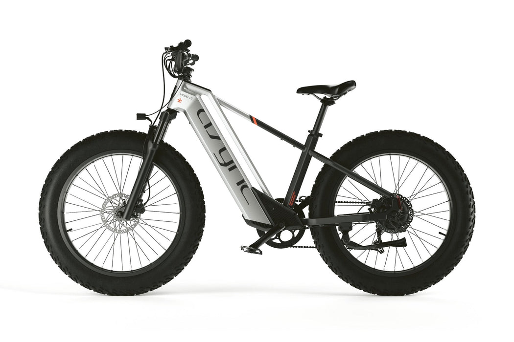 Cyrusher Model L5 Fat Tire E-Bike | 750W Motor & 52V Battery