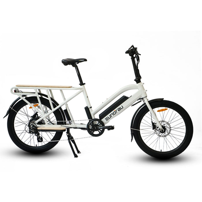 Eunorau Max-Cargo 2.0 Electric Cargo Bike 750W Rear Hub 48V Battery