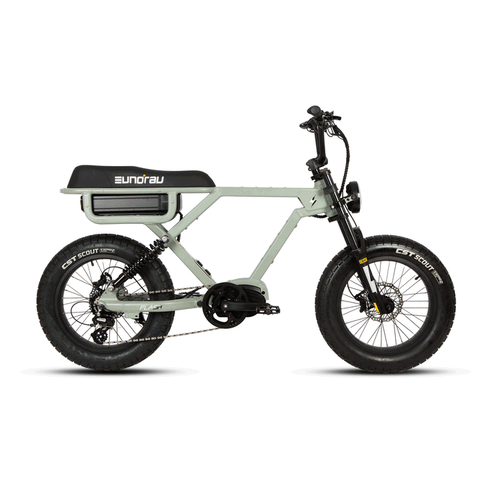 Eunorau Flash AWD 1.0 Electric Bike Dual 750W Motors 52V 16Ah 20 MPH
