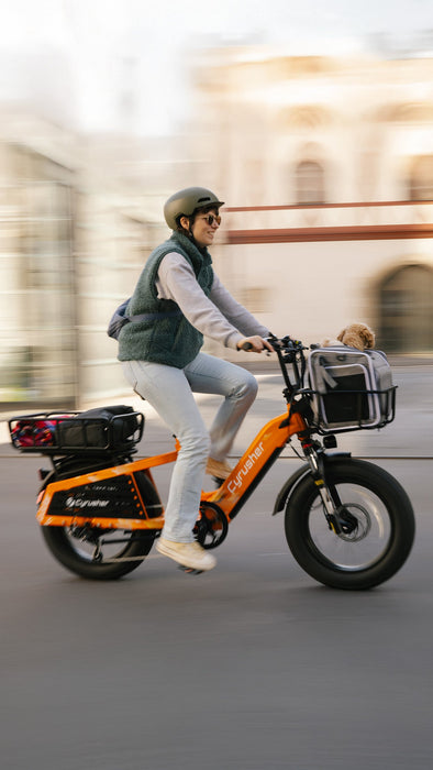 Cyrusher Glider Cargo E-Bike with 750W Hub Motor, 52V Battery & Hydraulic Brakes