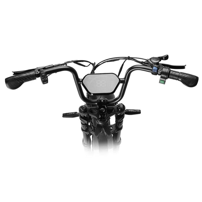 HAPPYRUN Tank G60Pro 20" Fat Tire Off Road Electric Bikes 2000W Peak Motors 48V 25Ah Battery