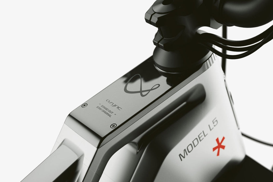 Cyrusher Model L5 Fat Tire E-Bike | 750W Motor & 52V Battery