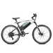   Eahora Electric Bike eAhora APUS Black Gray ZD(S)
