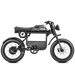  Eahora Electric Bike eAhora FT-01T Black MSK

