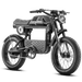  Eahora Electric Bike eAhora FT-01T Black MSK
