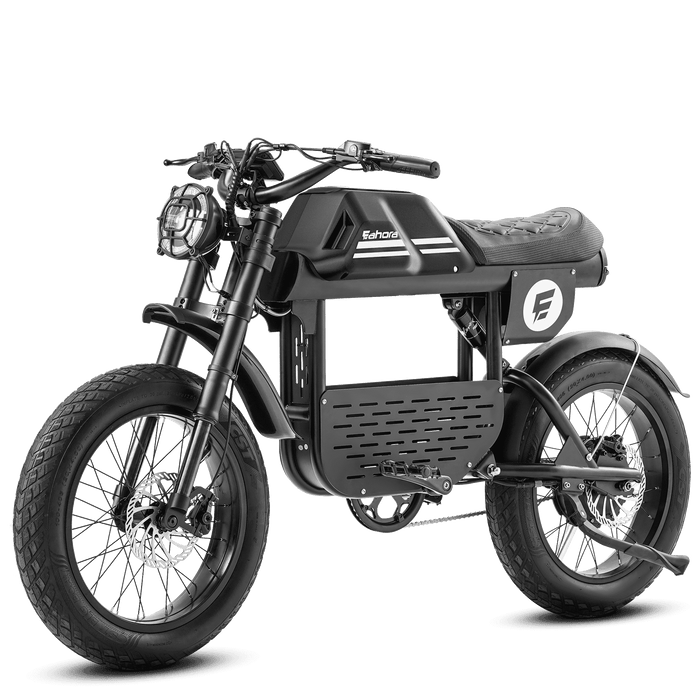  Eahora Electric Bike eAhora FT-01T Black MSK
 