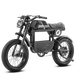  Eahora Electric Bike eAhora FT-01T Black MSK
 