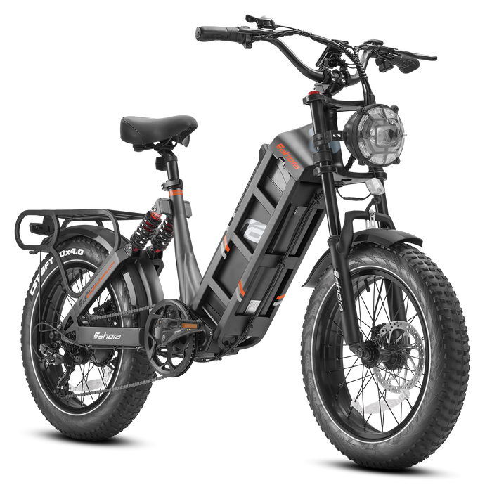  Eahora Electric Bike eAhora Juliet Black ZD(S)
 