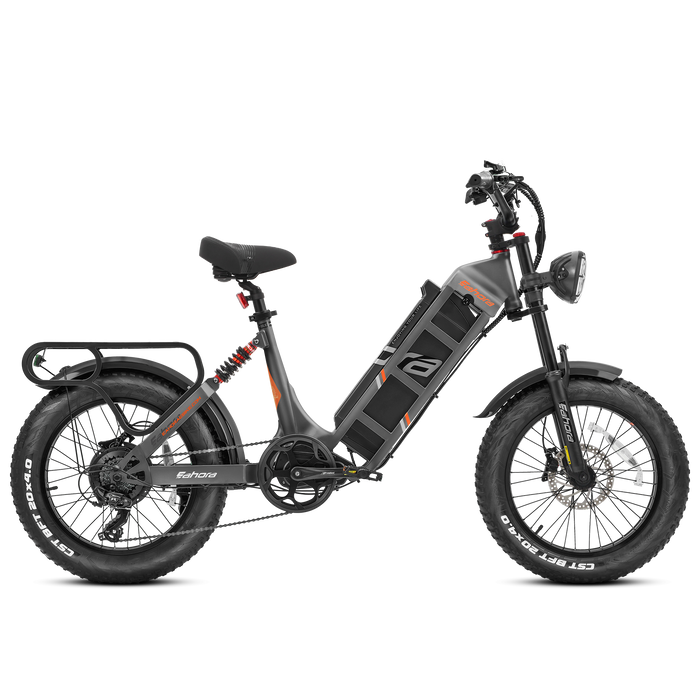  Eahora Electric Bike eAhora Juliet Black ZD(S)
