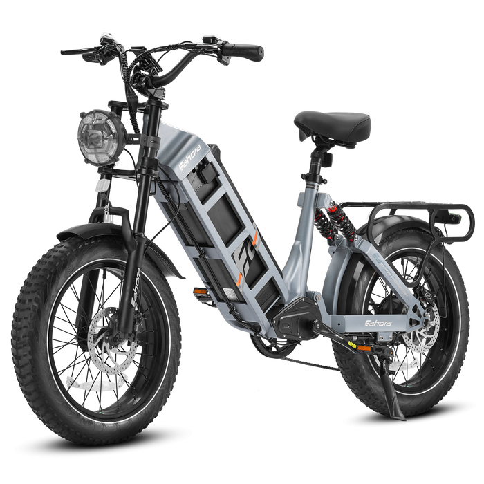  Eahora Electric Bike eAhora Juliet Black ZD(S)
