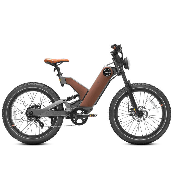 Eahora P5 Electric Bike - 750W Motor, 48V 20AH Battery, 80 Mile Range