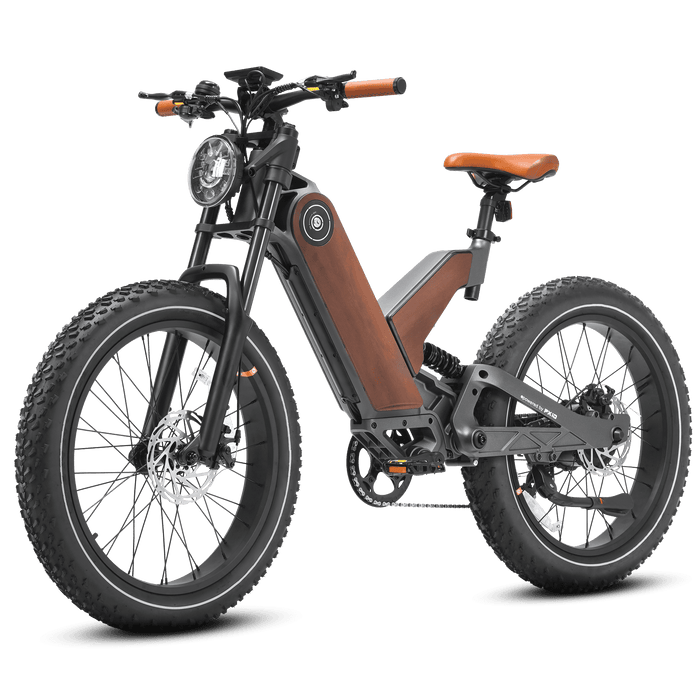  Eahora Electric Bike eAhora P5-â…  Gray-Brown PX
