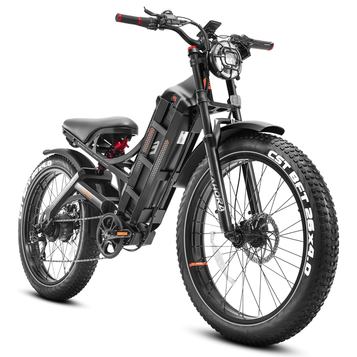  Eahora Electric Bike eAhora Romeo-P Black ZD (S)
