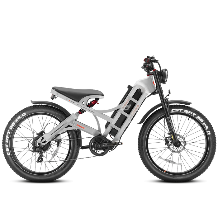   Eahora Electric Bike eAhora Romeo-P Black ZD (S)
