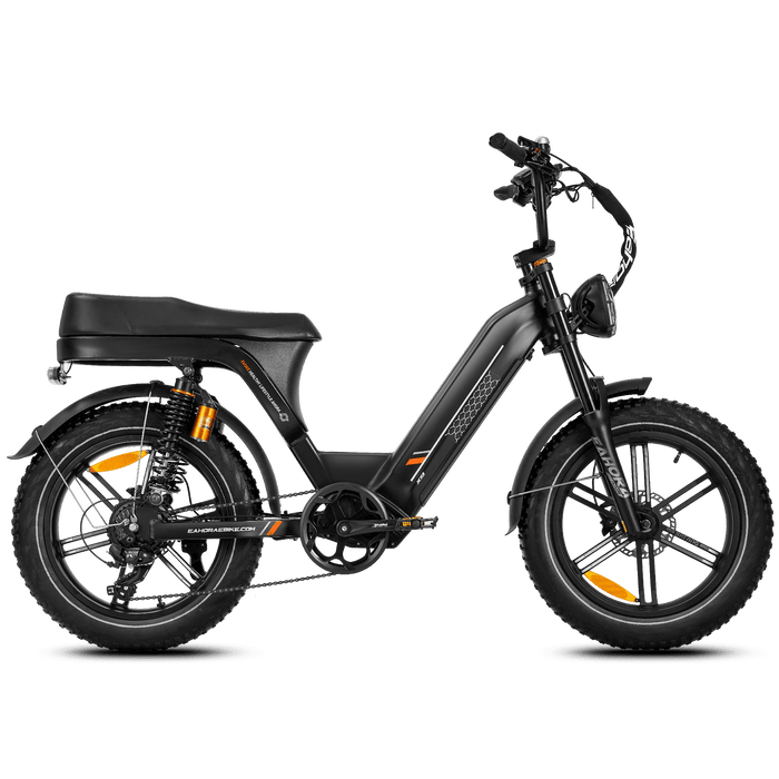  Eahora Electric Bike eAhora X9 Black YAN
