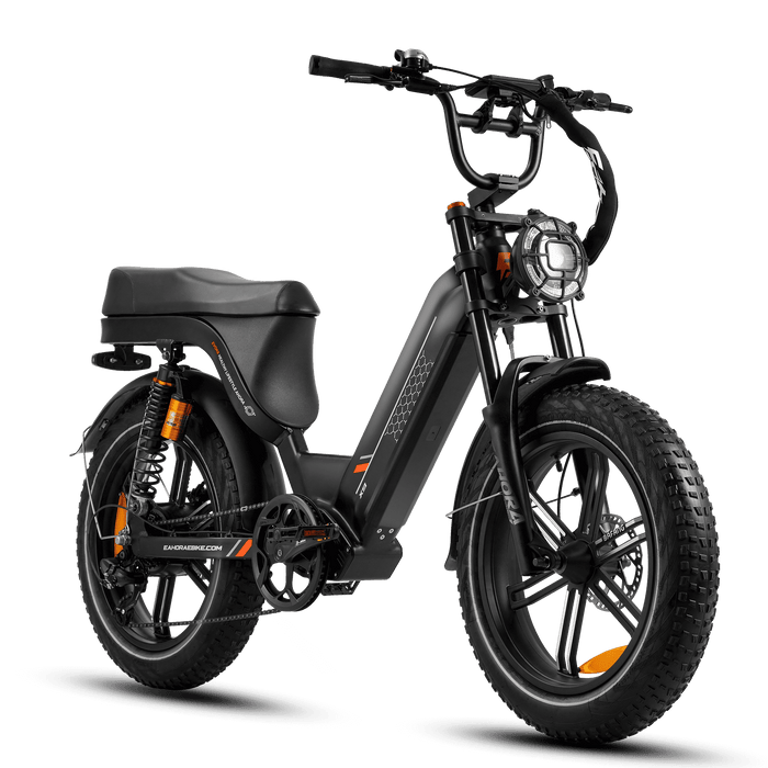  Eahora Electric Bike eAhora X9 Black YAN
