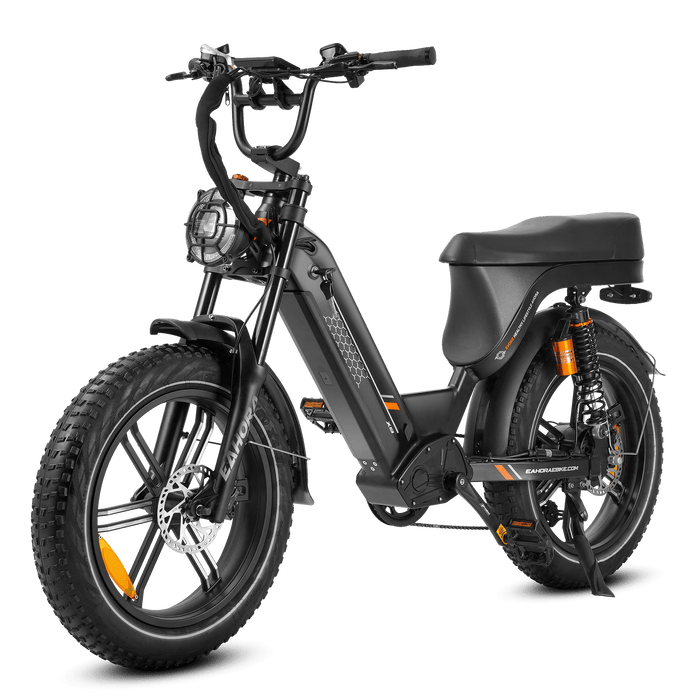  Eahora Electric Bike eAhora X9 Black YAN
