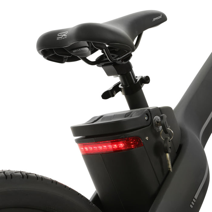 seagull electric bicycle Ecotric Seagull Black Electric Mountain Bike