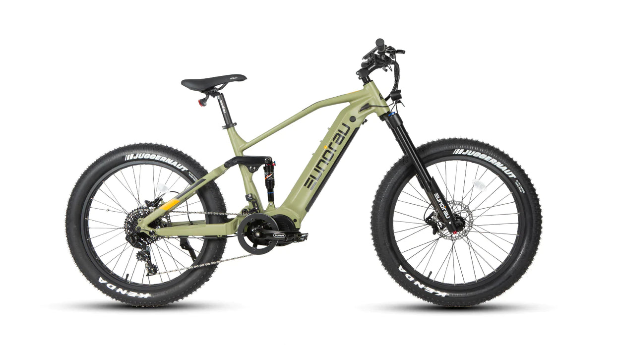  Eunorau Electric Bike SPECTER-S-17-WS3
 