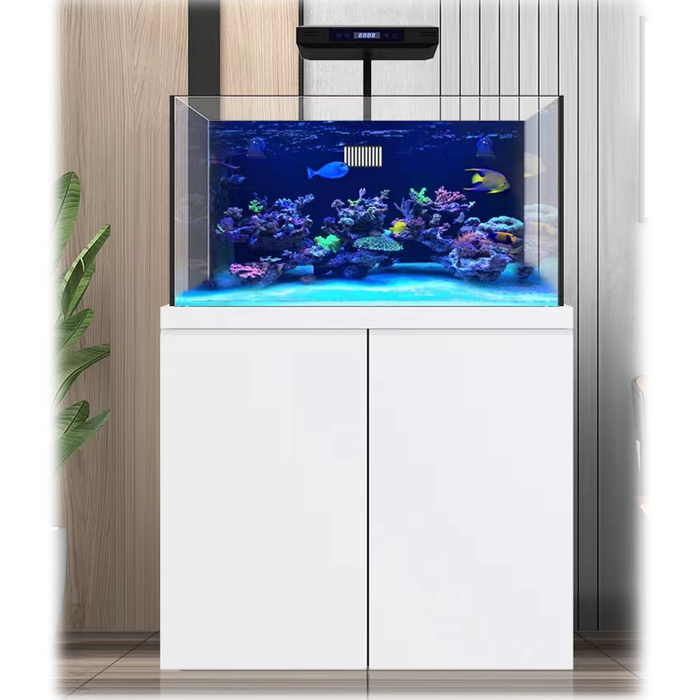 Aqua Dream 100 Gallon Aquarium Coral Reef Fish Tank Complete Set including one Coral light & one Protein Skimmer
