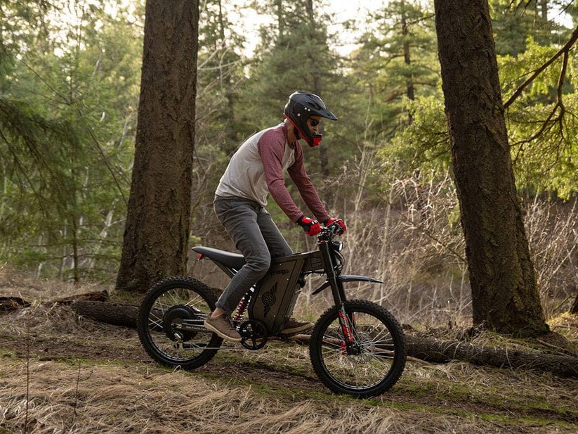 Freego X2 Pro All-terrain Mountain Off-road Motorcycle