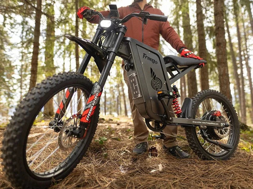 Freego X2 Pro All-terrain Mountain Off-road Motorcycle