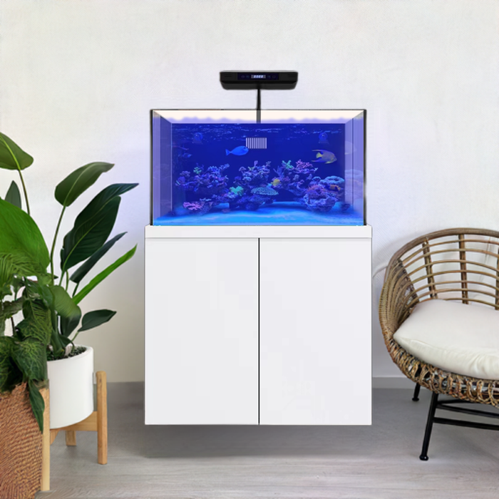 Aqua Dream 100 Gallon Aquarium Coral Reef Fish Tank Complete Set including one Coral light & one Protein Skimmer
